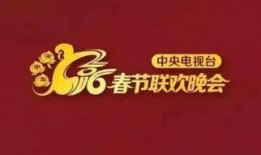 春节爆料视频新闻报道,独家视频新闻报道带你领略传统与现代的碰撞